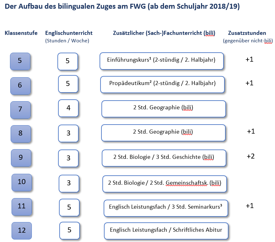 Bilinualer Zug